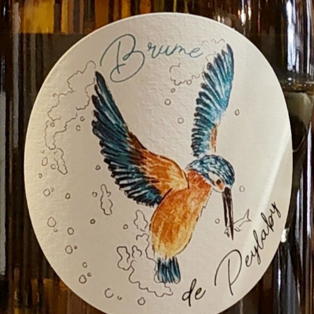 [1121] BRUME 2024 - Sémillon/Sauvignon