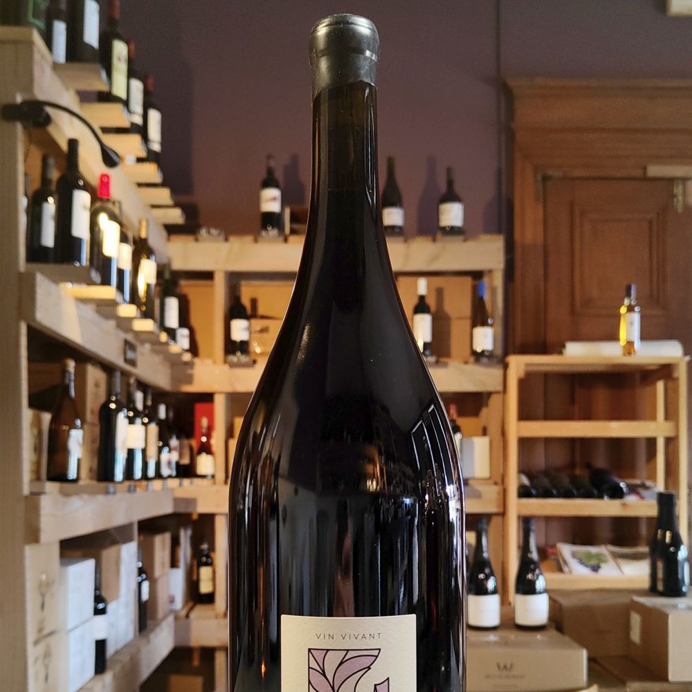 [1136] MAGNUM Croix-Martin 2023 - pinot noir/grolleau 12° Bio