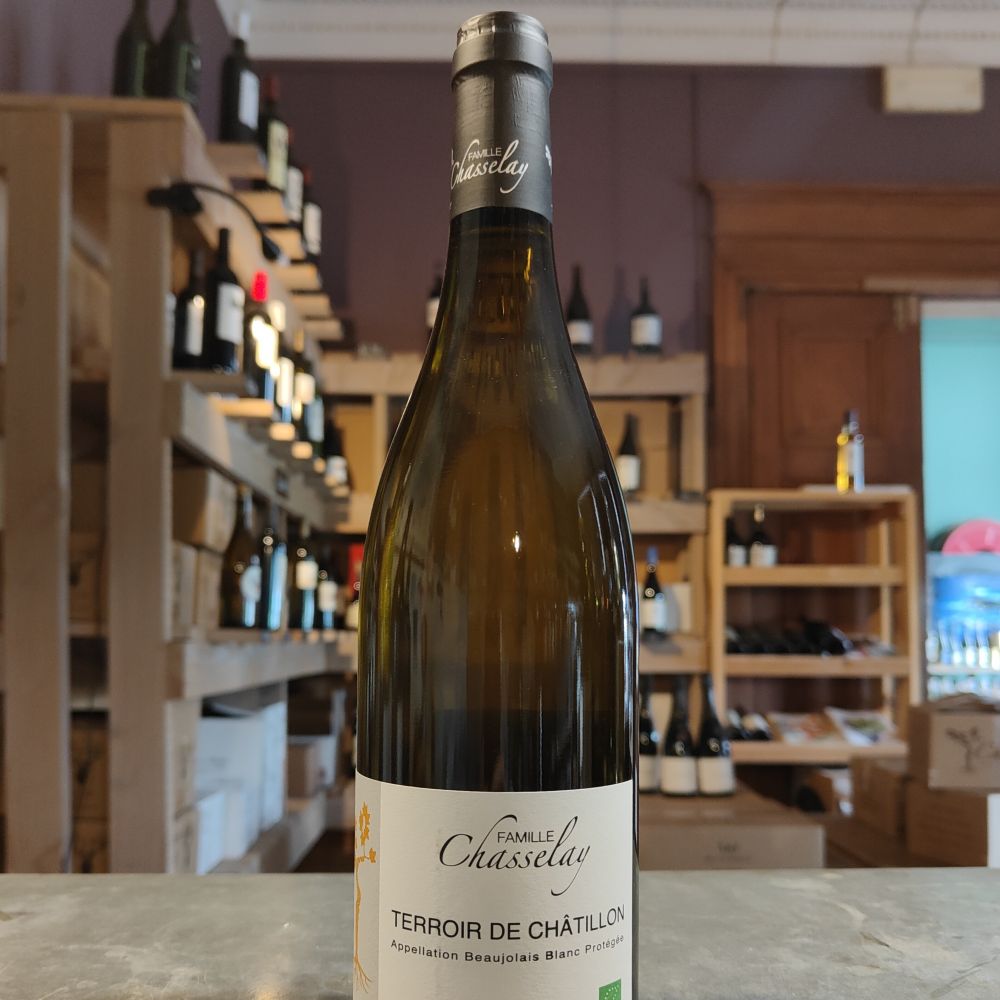 Terroir de Châtillon 2023 - Beaujolais blanc AOP rare! Bio