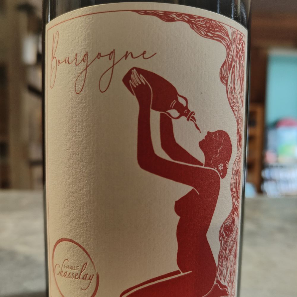 [799] BOURGOGNE Pinot Noir 2021