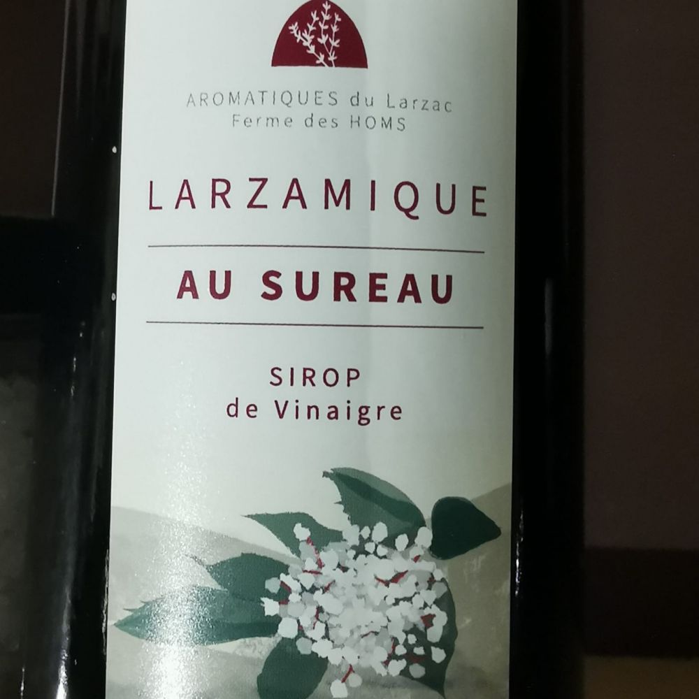 [441] Sirop de vinaigre de Sureau  25cl