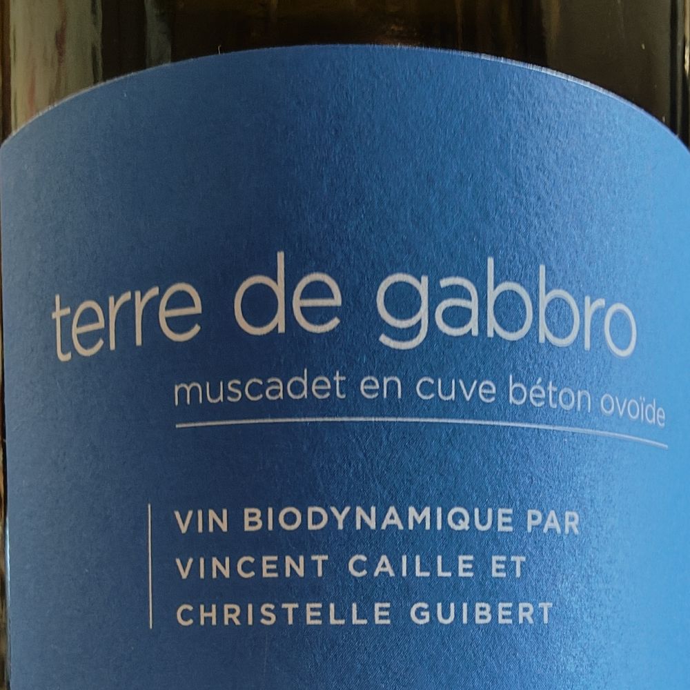 [774] Terre de Gabbro 2021- muscadet 9 mois sur lie en oeuf béton