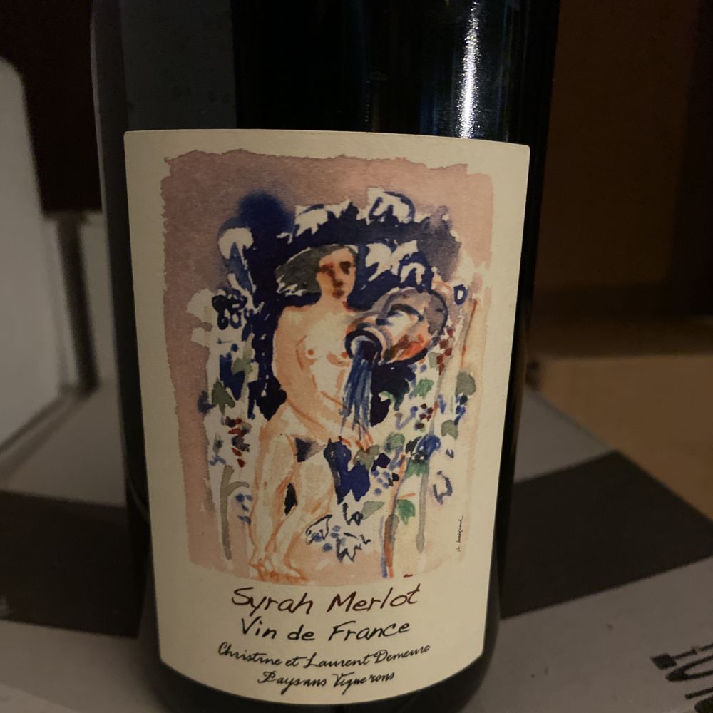 [483] Syrah Merlot 2019 Vin & Pic