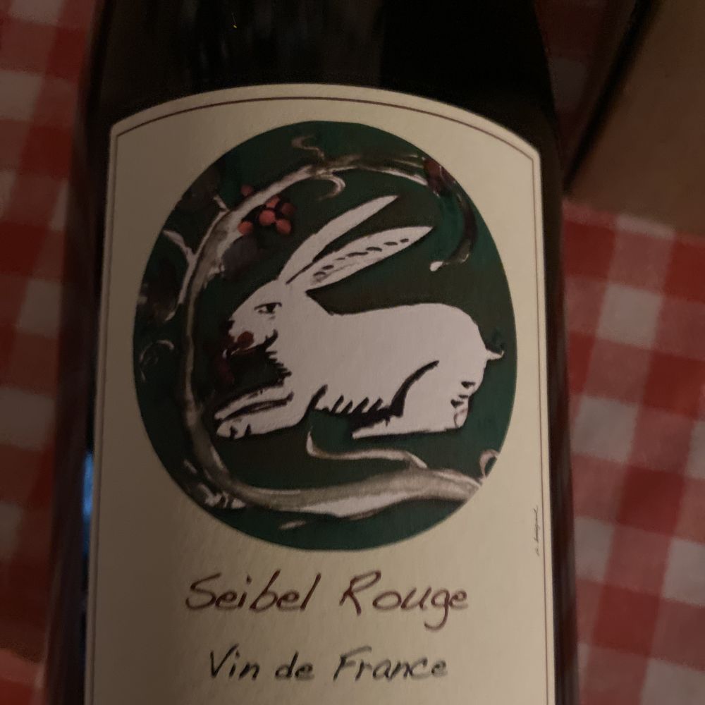 [482] Seibel Rouge 2018 - cépage rare